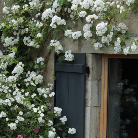 Rambling Rector